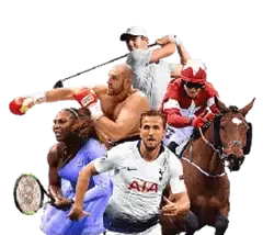 phpopular home sports